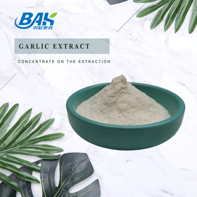 chiết xuất tỏi chất lượng cao 1% 2% 3% bột allicin trong kho chiết xuất tỏi với các mẫu miễn phí để bán