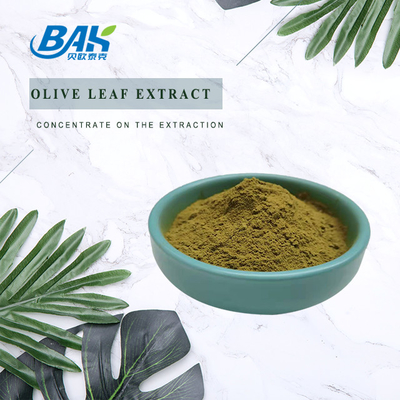Bột lá ô liu Tăng cường hệ miễn dịch Oleuropein 10% -80%