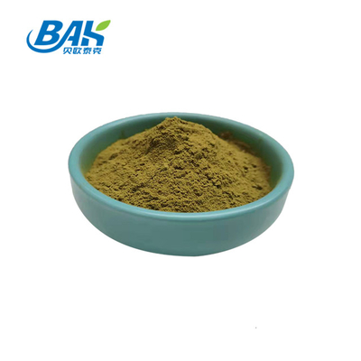 Bột lá ô liu Tăng cường hệ miễn dịch Oleuropein 10% -80%