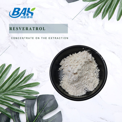 Chiết xuất Polygonum Cuspidatum Bột Resveratrol để tăng cường miễn dịch