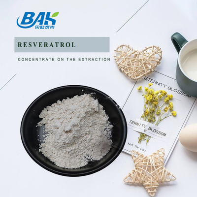 Chiết xuất Polygonum Cuspidatum Bột Resveratrol để tăng cường miễn dịch