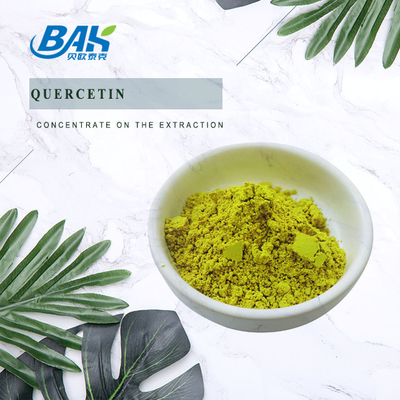 HPLC Sophora Japonica Extract 98% Quercetin bột