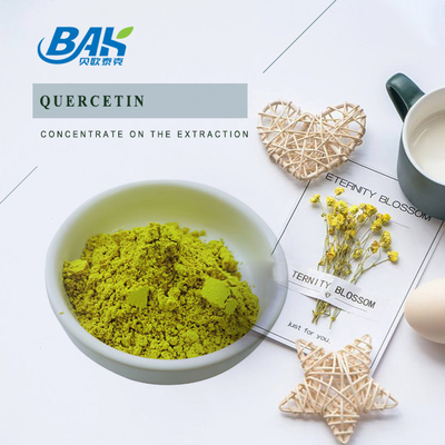 HPLC Sophora Japonica Extract 98% Quercetin bột
