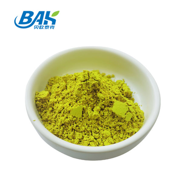 HPLC Sophora Japonica Extract 98% Quercetin bột