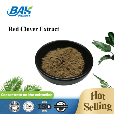 Năng lượng bổ sung tự nhiên 40% 100% hạt cọ đỏ chiết xuất bột chiết xuất cọ đỏ