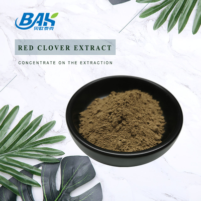 8% -40% chiết xuất cỏ ba lá đỏ cho da tóc thời kỳ mãn kinh