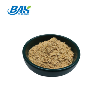 Nhà máy chuyên nghiệp Trung Quốc Dang Gui Angelica Sinensis Dong Quai Extract Root Bột Angelica Dahurica Extract