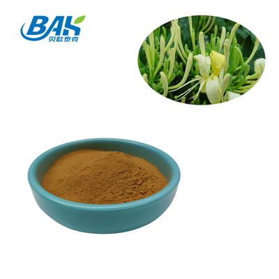 Nhà máy bán buôn chiết xuất mật ong tăng cường miễn dịch 5% axit chlorogenic