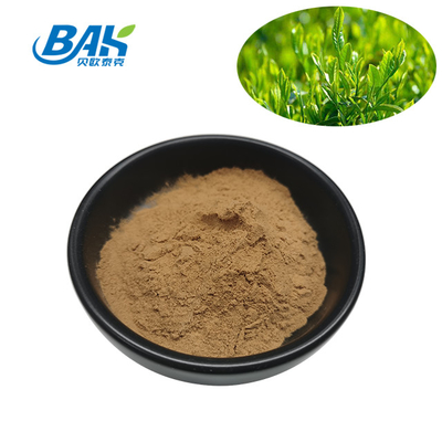 Polyphenol 10% - 98% chiết xuất trà xanh bột Cas 84650-60-2