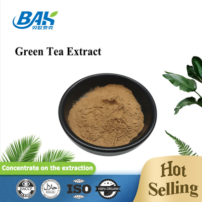 Polyphenol 10% - 98% chiết xuất trà xanh bột Cas 84650-60-2