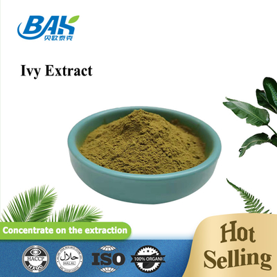 Hedera Helix Extract Chiết xuất cây thường xuân Trung Quốc Hederacoside C