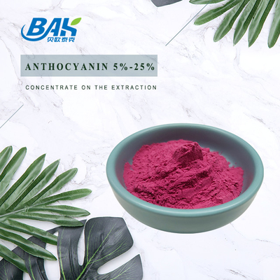 Bổ sung Anthocyanin chiết xuất từ ​​5% - 25% quả việt quất