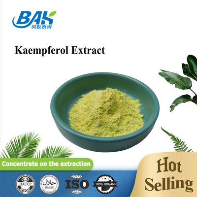 Cas 520-18-3 Bổ sung tăng cường miễn dịch Bột Kaempferol 98%