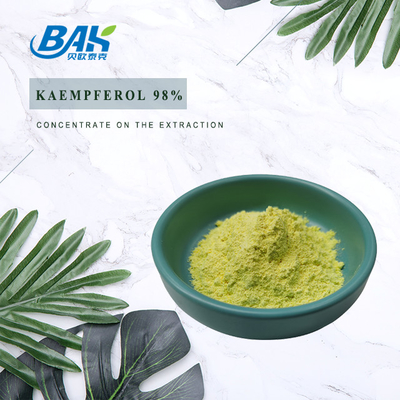 Cas 520-18-3 Bổ sung tăng cường miễn dịch Bột Kaempferol 98%