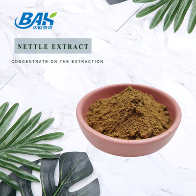 chiết xuất lá đục chất lượng cao 1,2% silica hữu cơ chiết xuất rễ đục chất lượng thực phẩm Bột