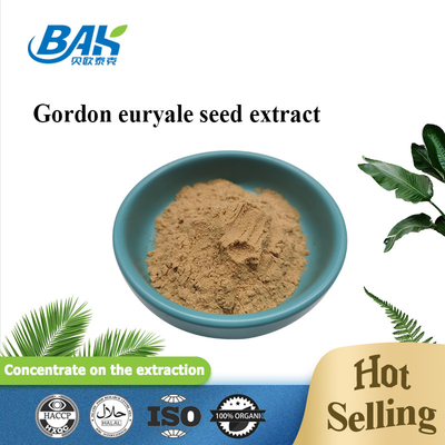 Bổ sung tăng cường giấc ngủ Bột chiết xuất hạt Euryale Ferox