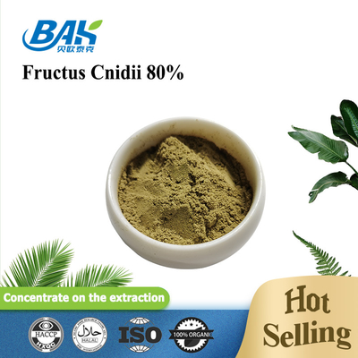 Thực vật Cnidium Monnieri chiết xuất Osthole 80% bột