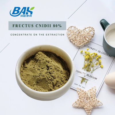Thực vật Cnidium Monnieri chiết xuất Osthole 80% bột