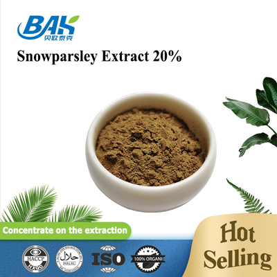 Nutraceuticals Chiết xuất Cnidium Monnieri Chiết xuất mùi tây tuyết 20%