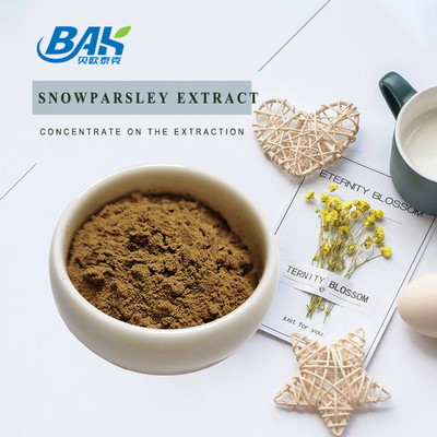 Nutraceuticals Chiết xuất Cnidium Monnieri Chiết xuất mùi tây tuyết 20%