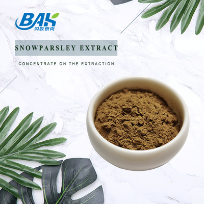 Nutraceuticals Chiết xuất Cnidium Monnieri Chiết xuất mùi tây tuyết 20%
