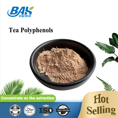 Thêm chất bảo vệ gan trà Polyphenols 98% bột