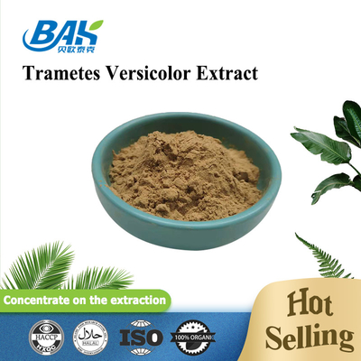 10% - 50% Trametes Versicolor chiết xuất bột chiết xuất nấm bổ sung