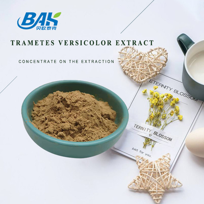10% - 50% Trametes Versicolor chiết xuất bột chiết xuất nấm bổ sung