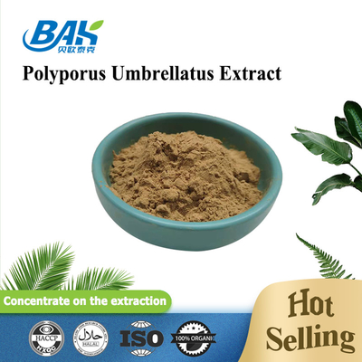 Chiết xuất nấm HPLC bổ sung Chiết xuất Polyporus Umbellatus