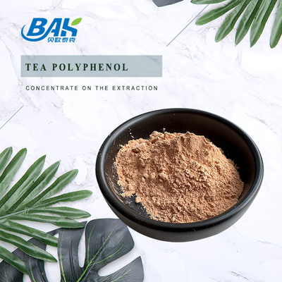Thêm chất bảo vệ gan trà Polyphenols 98% bột