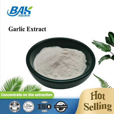 chiết xuất tỏi chất lượng cao 1% 2% 3% bột allicin trong kho chiết xuất tỏi với các mẫu miễn phí để bán