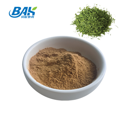 10:1 1kg Bột chiết xuất trà xanh Bột trà hòa tan trong nước