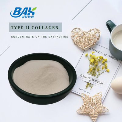 Chiết xuất sụn bột protein 25% peptide Collagen loại II