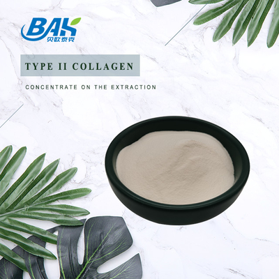 Chiết xuất sụn bột protein 25% peptide Collagen loại II