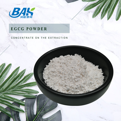 Sản phẩm hàng loạt chiết xuất trà xanh EGCG CAS NO 989-51-5 Epigallocatechin Gallate 98% Bột trắng