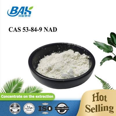 Bán nóng CAS 53-84-9 Giảm Nicotinamide Adenine Dinucleotide NAD