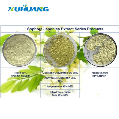 HPLC Sophora Japonica Extract 98% Quercetin bột