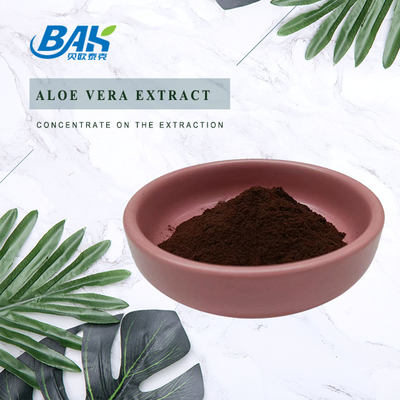 Sennoside A + B hòa tan trong nước Bột chiết xuất lá Senna tinh khiết