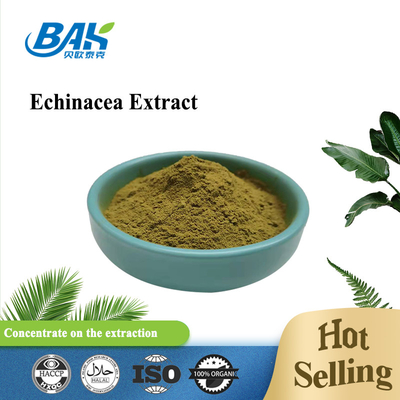 Chiết xuất Echinacea Bột màu vàng nâu