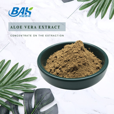 BAK Chất lượng cao vượt qua 80 lưới chiết xuất lá Artemisia Argyi màu nâu đậm bột Anti Cruor