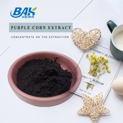 Nhà máy BAK bán buôn Anthocyanin 35% Zea Mays Chất chiết xuất ngô màu tím bột màu tím