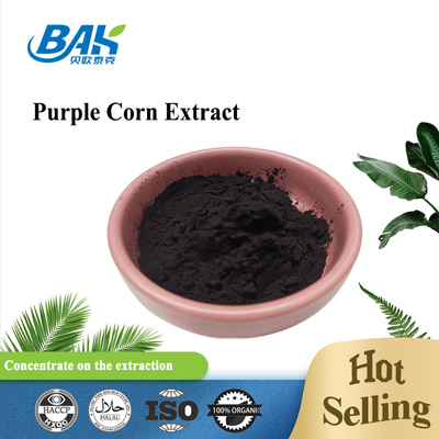 Nhà máy BAK bán buôn Anthocyanin 35% Zea Mays Chất chiết xuất ngô màu tím bột màu tím