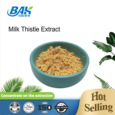 Nhập xách 80% Silymarin Milk Thistle Extract Powder