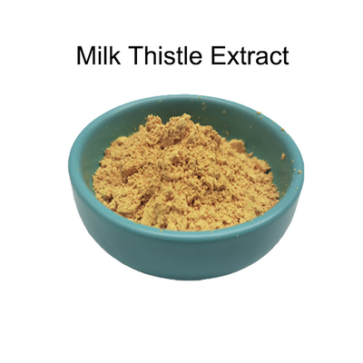 Nhập xách 80% Silymarin Milk Thistle Extract Powder