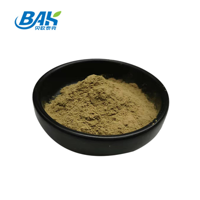 Nhà máy bán buôn chiết xuất bạc hà tinh khiết bổ sung tăng cường miễn dịch Mentha Haplocalyx Briq Brown Powder