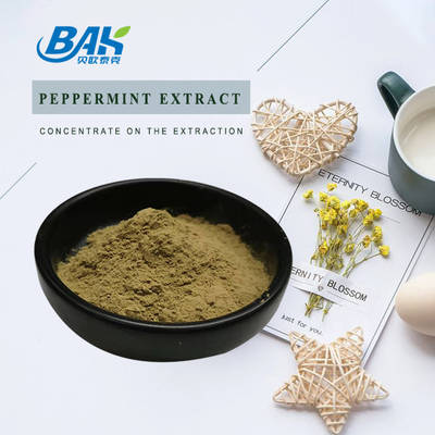 Nhà máy bán buôn chiết xuất bạc hà tinh khiết bổ sung tăng cường miễn dịch Mentha Haplocalyx Briq Brown Powder