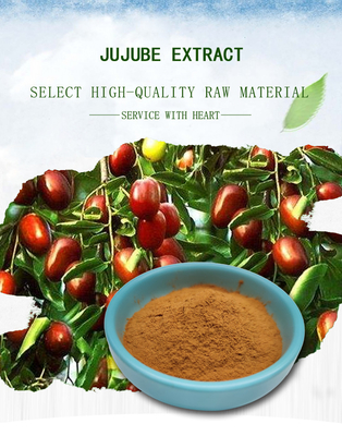 Fructus Ziziphi Jujubae Extract Bột mịn màu vàng nhạt Polysaccharide 40%