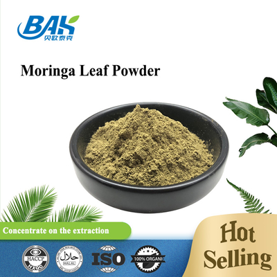 Green Halal Food Grade Organic Moringa Leaf Powder Kháng khuẩn Kháng trầm cảm