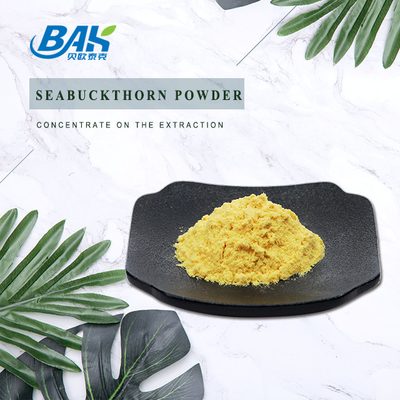 Hippophae Rhamnoides Linn Seabuckthorn Powder