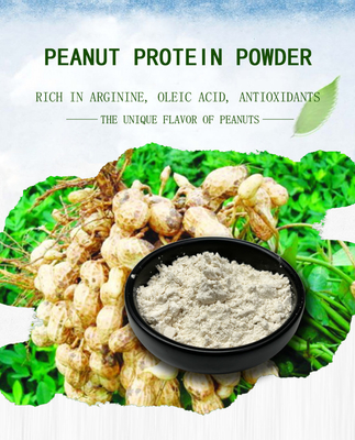 Proteine ​​50% Bơ Peanut Peptide Protein Powder Off White Powder